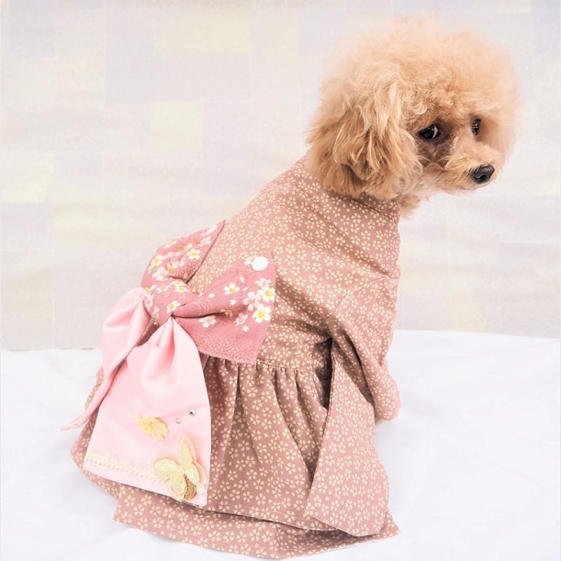 着物風ワンピース 犬 猫 | LEAandRIO