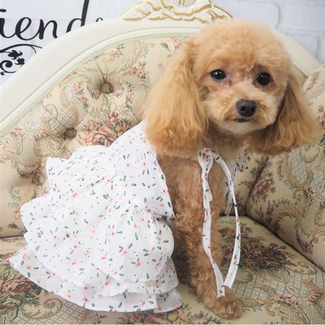 ワンピース 犬 猫