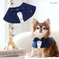 タキシード風ケープ 犬 猫
