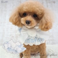 ケープ 犬 猫