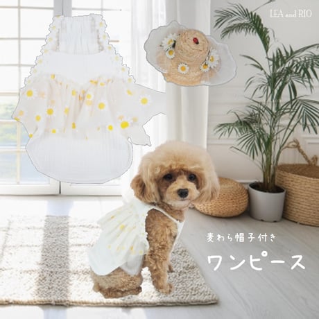 麦わら帽子付きワンピース 犬 猫