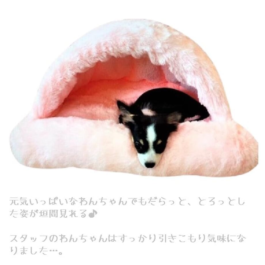 65867b0dd5874214ca8a66aa