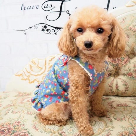 いちご＆さくらんぼトップス 犬 猫