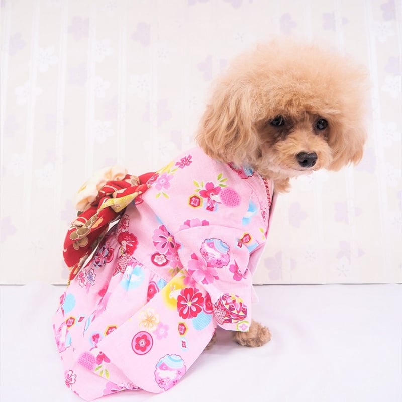 犬用 わんこ用 着物ワンピース 楽天市場】着物 風 ワンピース（ドッグウェア｜犬用品）：ペット