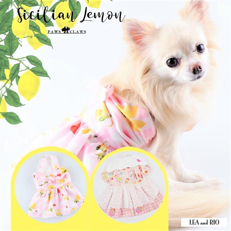 ゆめかわワンピース 犬 猫 | LEAandRIO
