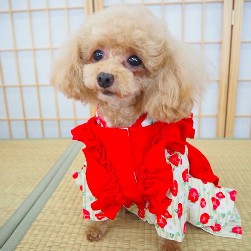 着物風ワンピース 犬 猫 | LEAandRIO