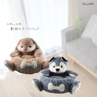 日本製コットン使用ベッド 犬 猫