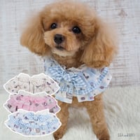 パステルカラーのケープ 犬 猫