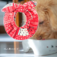 スヌード 犬 猫