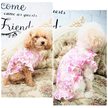 花柄シースルートップス 犬 猫