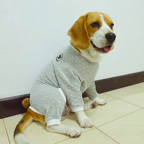 シンプルロンパース 犬 猫