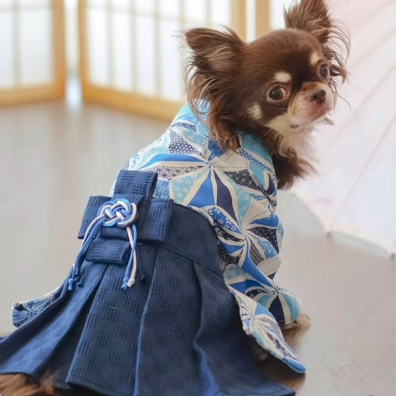 D78.pon2pan2☆現品犬袴 D78.pon2pan2☆現品犬袴