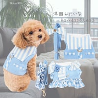 ストライプ柄ハーネス＆リード 犬 猫