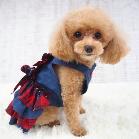 ワンピース 犬 猫