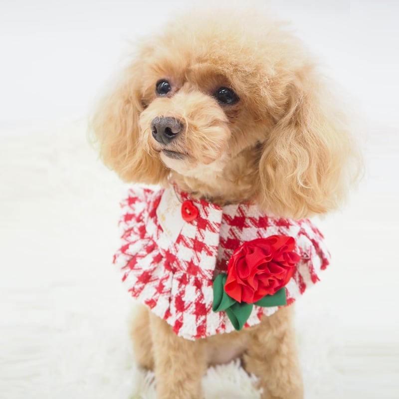 千鳥格子柄ポンチョ 犬 猫 | LEAandRIO