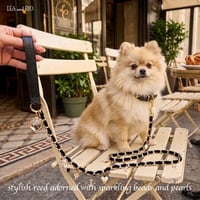 リード 犬 猫
