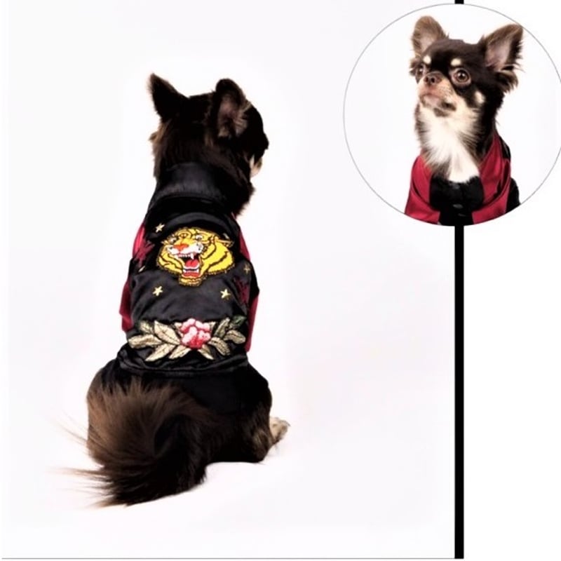 スタジャン 犬 猫 | LEAandRIO