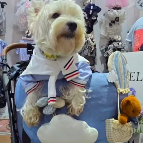 カートクッション 犬 猫