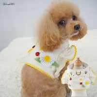 ハーネス 犬 猫