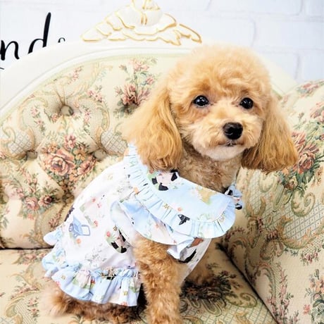 コットンワンピース 犬 猫
