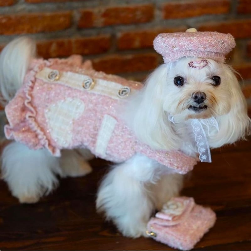 帽子付きツイードワンピース 犬 猫 | LEAandRIO