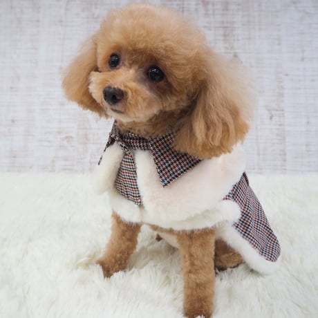 千鳥格子柄のコート 犬 猫