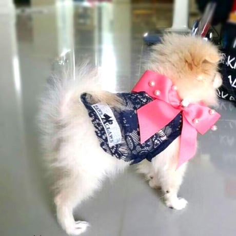 総レーストップス 犬 猫