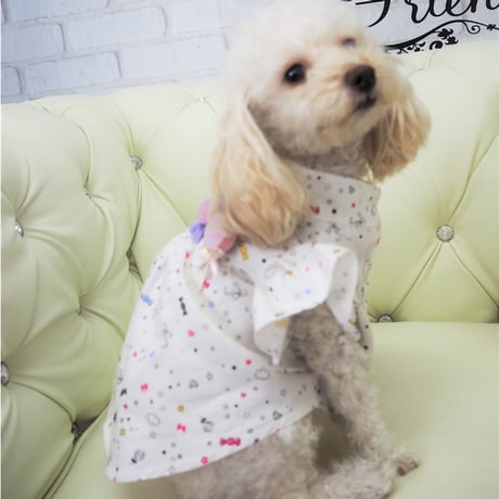 フレア袖ワンピース 犬 猫