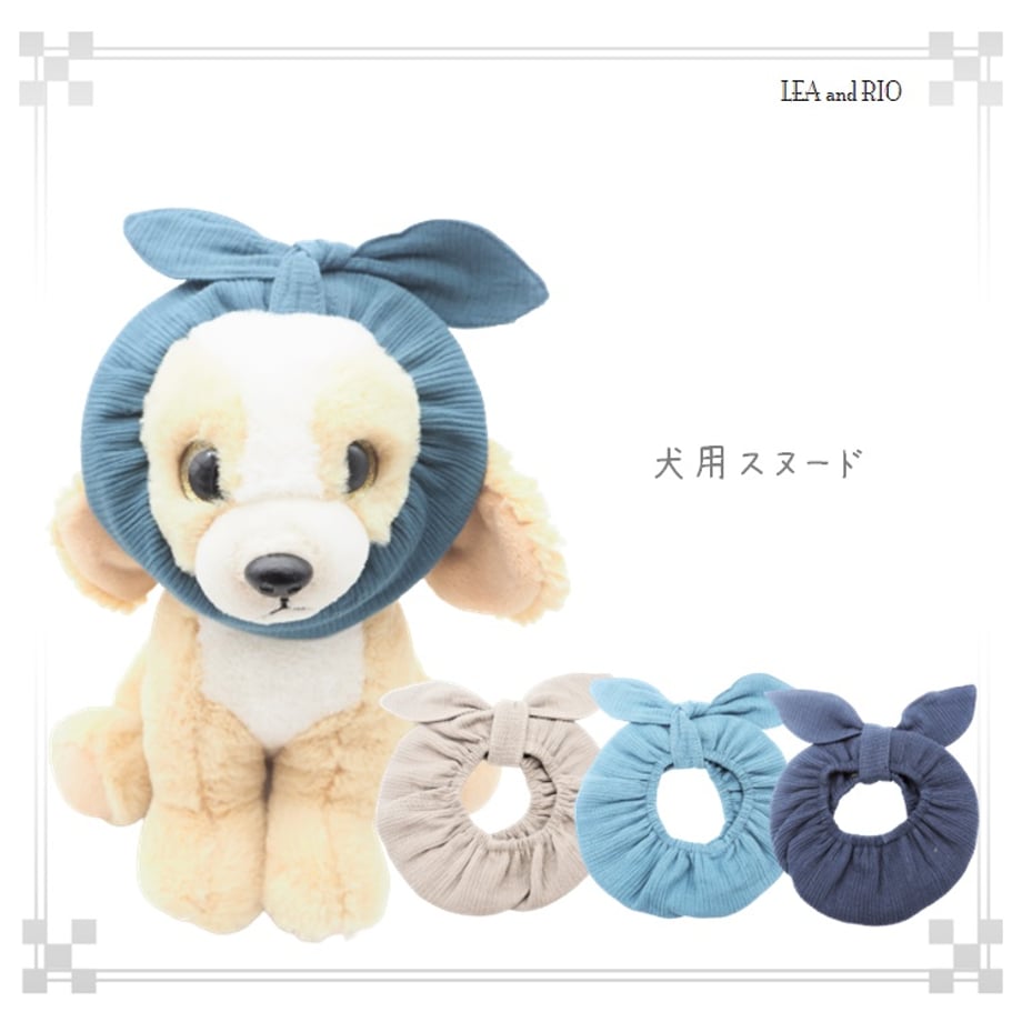 657fd79c916d26002dbdf6ba