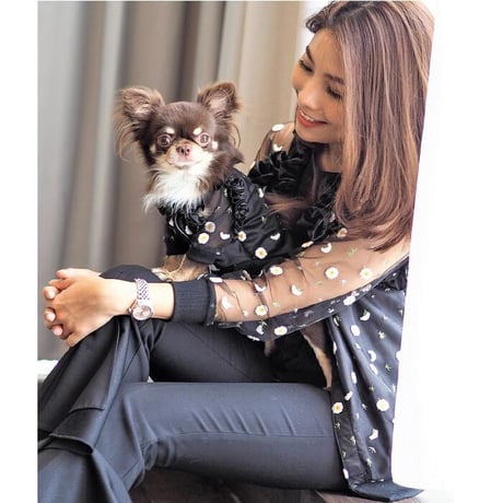 お揃いで着られるトップス 犬 猫