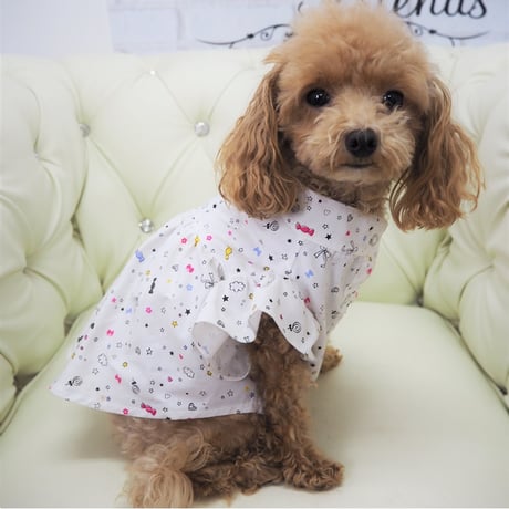 フレア袖ワンピース 犬 猫