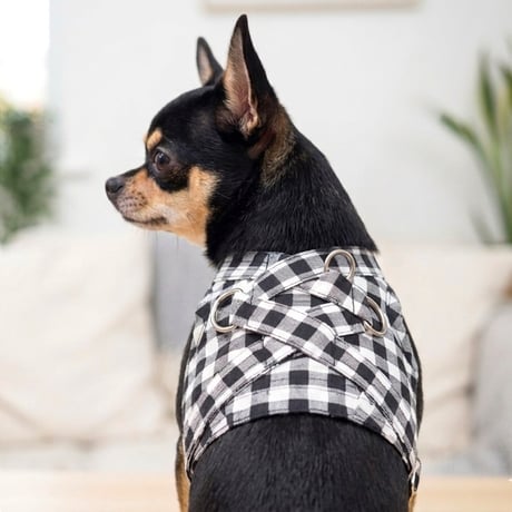 チェック柄ハーネス 犬 猫