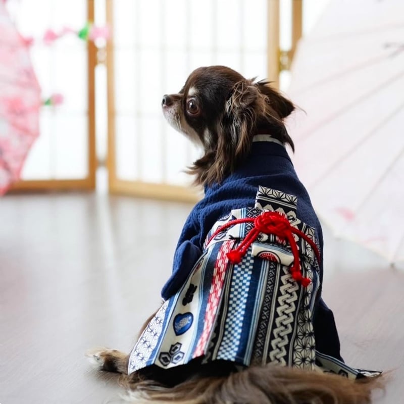 犬服　たかこ　袴　ハンドメイド Tambedy ＼全品P5倍24日23:59まで／犬 服 着物 秋冬 名入れ 正月