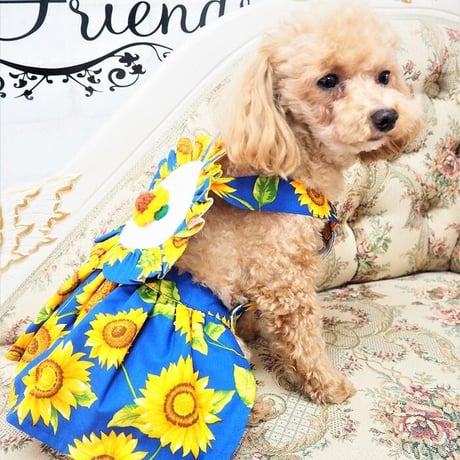 ひまわりワンピース 犬 猫
