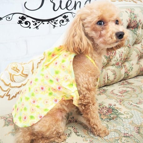 花柄トップス 犬 猫