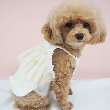 麦わら帽子付きワンピース 犬 猫
