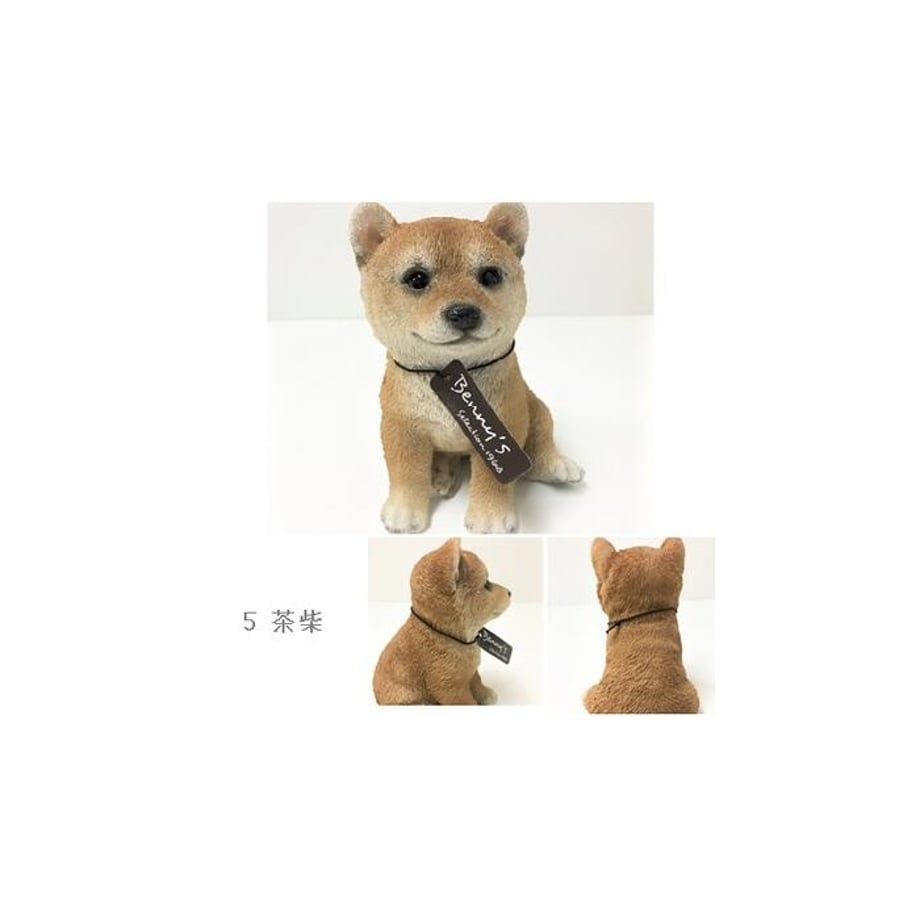 67ff58b4b71e15231cf746a4