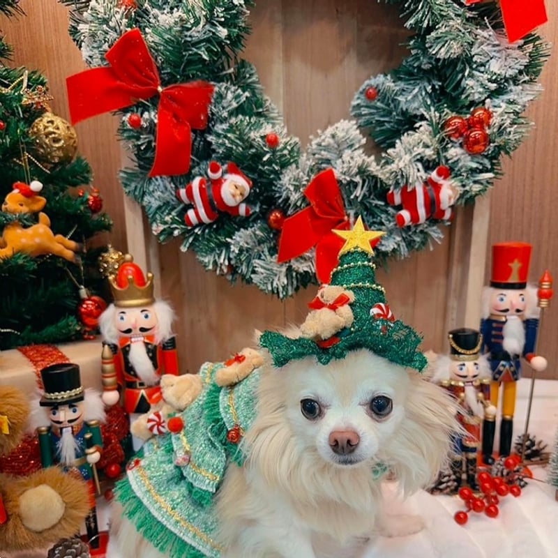 クリスマスツリー型の帽子 犬 猫 | LEAandRIO
