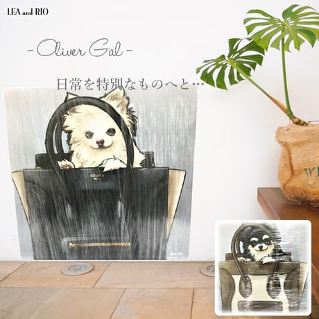 CATEGORY Oliver Gal -オリバー・ガル- | LEAandRIO