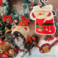クリスマス柄のハーネス 犬 猫