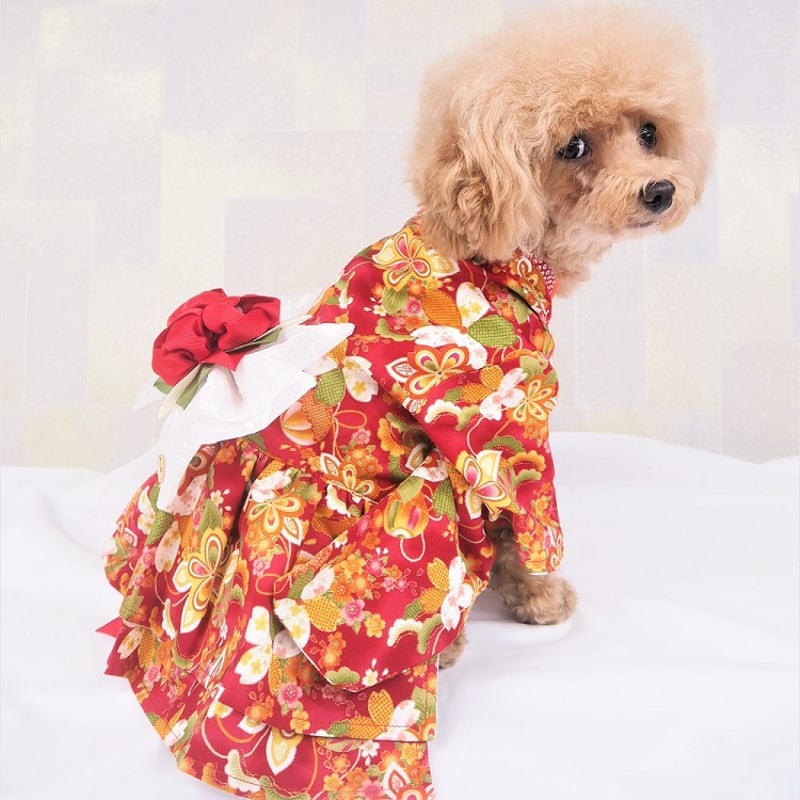 着物風ワンピース 犬 猫 | LEAandRIO 着物風ワンピース 犬 猫 | LEAandRIO