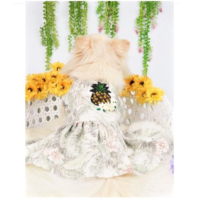 ボタニカル柄ワンピース 犬 猫 | LEAandRIO