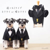 フォーマルトップス 犬 猫