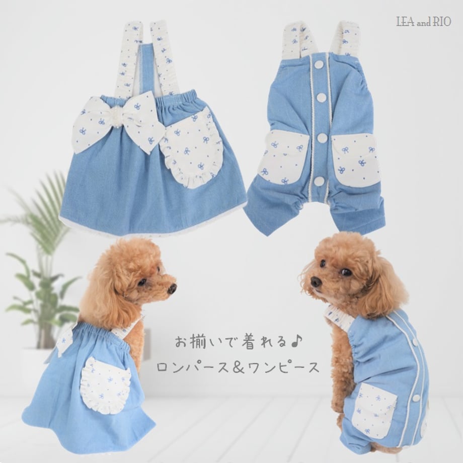 647e853edacada002e4c2e2e