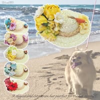 麦わら帽子 犬 猫