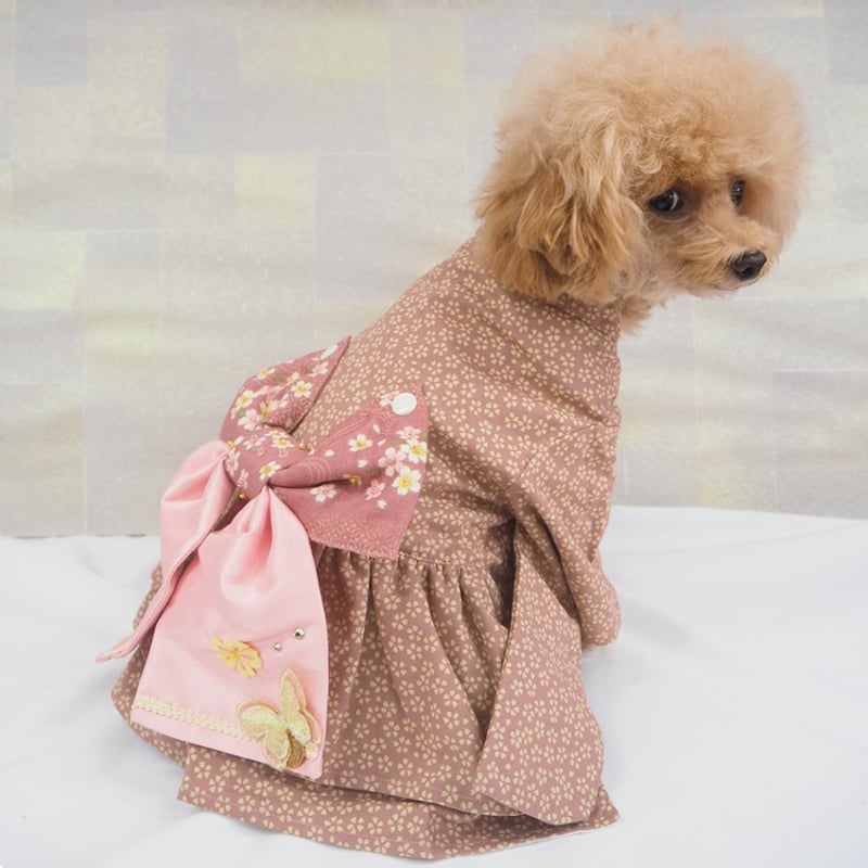着物風ワンピース 犬 猫 | LEAandRIO