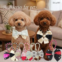 リボンネックレス 犬 猫