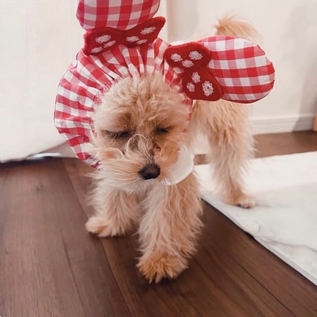 スヌード 犬 猫