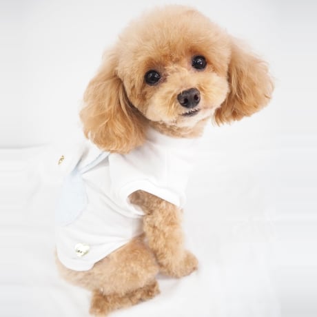 うさぎモチーフトップス 犬 猫