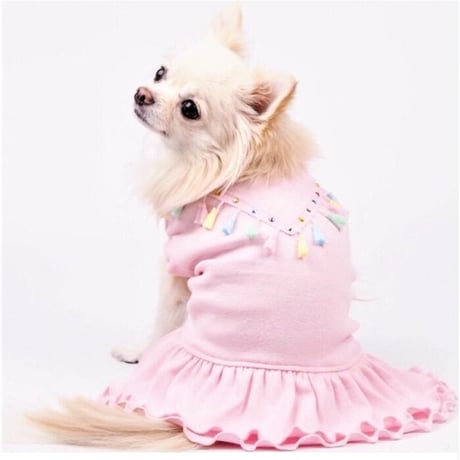 ふんわりカラーワンピース 犬 猫